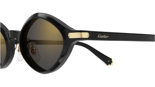 Cartier CT0540S - 001 - 48 Napszemüvegek Fekete Ovális