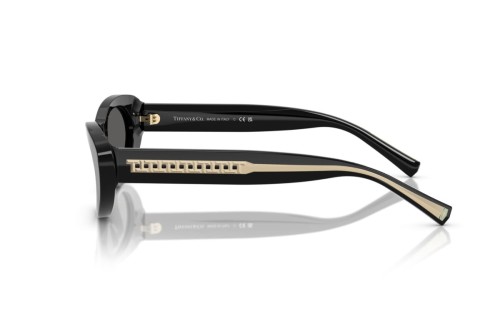 TIFFANY & CO. TF4236U - 8001S4 - 55 Napszemüvegek Fekete Cat Eye (Macskaszem)