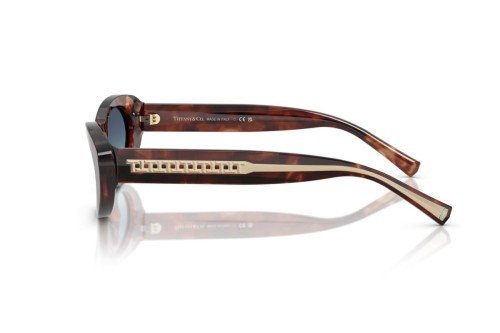 TIFFANY & CO. TF4236U - 84219S - 55 Napszemüvegek Havanna Cat Eye (Macskaszem)