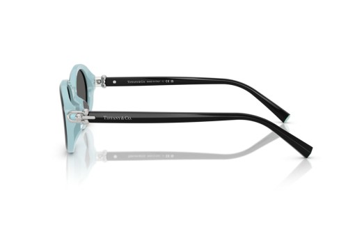 TIFFANY & CO. TF4242D - 8055S4 - 54 Napszemüvegek Fekete Ovális