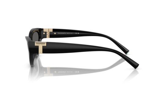TIFFANY & CO. TF4225U - 8001S4 - 54 Napszemüvegek Fekete Cat Eye (Macskaszem)