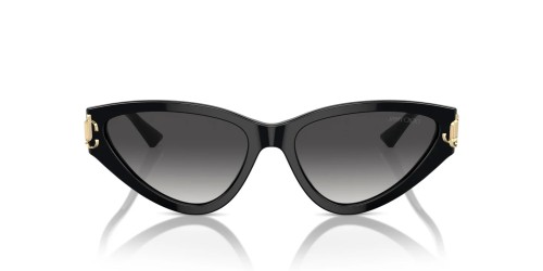 Jimmy Choo JC5019 - ​50008G - ​55 Napszemüvegek Fekete Cat Eye (Macskaszem)