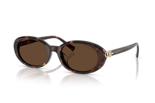 TIFFANY & CO. - Napszemüvegek - TF4242D - 80153G - 54