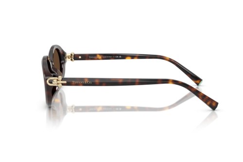 TIFFANY & CO. TF4242D - 80153G - 54 Napszemüvegek Dark Havanna Ovális