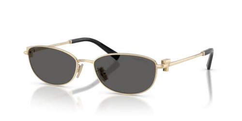 TIFFANY & CO. - Napszemüvegek - TF3115 - 6021S4 - 56