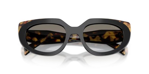 PRADA PR D02S - 0CD80L - 53 Napszemüvegek Fekete/közepes teknős Ovális
