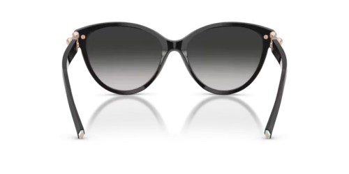 TIFFANY & CO. TF4261 - 80013C - 56 Napszemüvegek Fekete Cat Eye (Macskaszem)