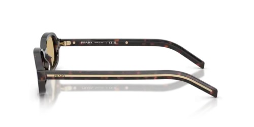 PRADA PR D06S - 17N70R - 50 Napszemüvegek Gyökér teknős Ovális
