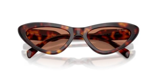 MIU MIU MU B11SU - 27L90Q - 55 Napszemüvegek Havanna Cat Eye (Macskaszem)