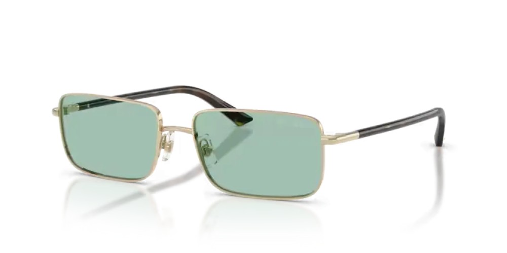 Jimmy Choo JC4027 - 3006/2 - 55 Napszemüvegek Halvány arany Téglalap