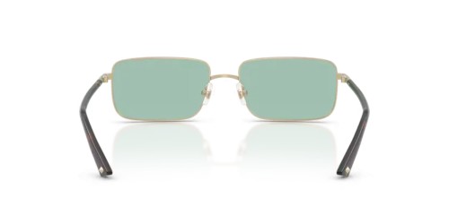Jimmy Choo JC4027 - 3006/2 - 55 Napszemüvegek Halvány arany Téglalap