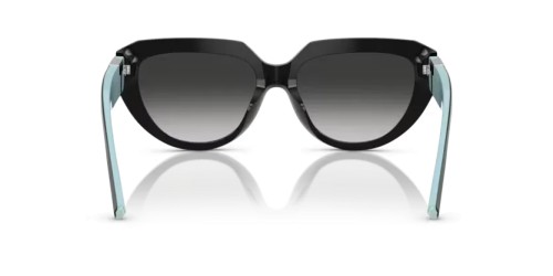 TIFFANY & CO. TF4238U - 84653C - 55 Napszemüvegek Fekete Párna