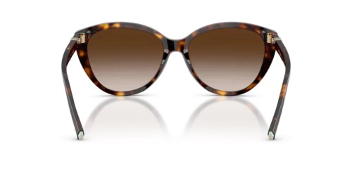 TIFFANY & CO. TF4251 - 80153B - 56 Napszemüvegek Havanna Cat Eye (Macskaszem)