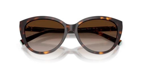 TIFFANY & CO. TF4251 - 80153B - 56 Napszemüvegek Havanna Cat Eye (Macskaszem)