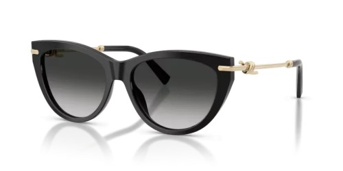 TIFFANY & CO. - Napszemüvegek - TF4253 - 80013C - 55