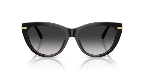 TIFFANY & CO. TF4253 - 80013C - 55 Napszemüvegek Fekete Cat Eye (Macskaszem)