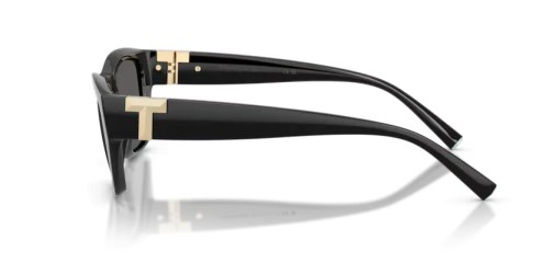 TIFFANY & CO. TF4255U - 8001S4 - 56 Napszemüvegek Fekete Téglalap