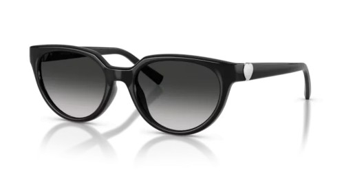 TIFFANY & CO. - Napszemüvegek - TF4256D - 80013C - 55